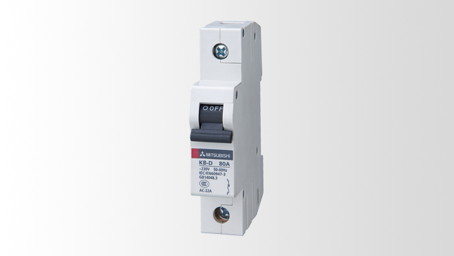 Isolating Switch (1/80 A)